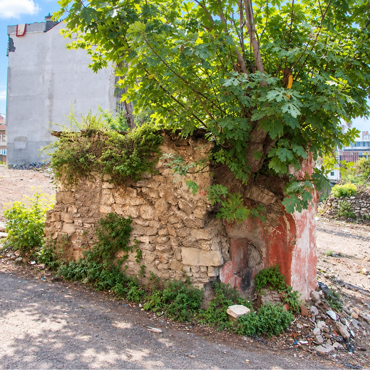 Proje 99